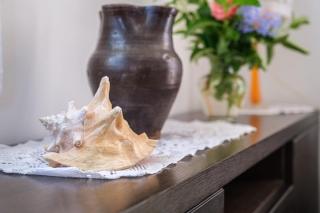 Villa Delle Pomelie - 6