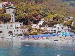 Palme CloseToGigante Junior Suites - Monterosso al Mare - 4