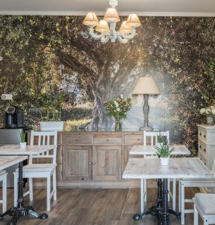 B&B L'Ulivo Fiumicino - Fiumicino - 9