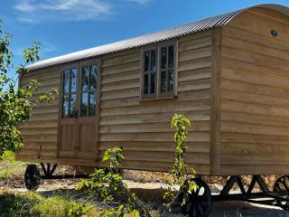 Robins Retreat - orchard with hot tub - see extras - Alfriston - 9