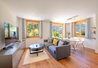 Panoramapark Soleil B Garden Apartment - Wengen - 8