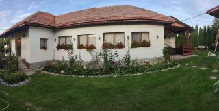 CASA RUSTIK - Bîltişoara - 5