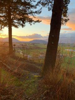 Tiny House Big View - 5