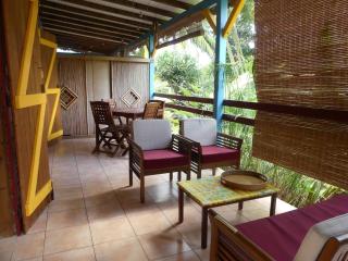 Ti Racoon en Guadeloupe - 1