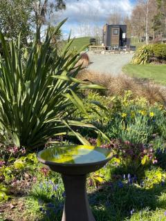 Boutique Tiny House - Te Anau Country Accommodation - 8