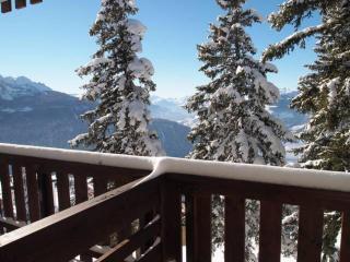 Appartement lumineux proche pistes avec parking couvert - FR-1-275-151 - Montvalezan - 5