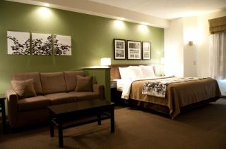 Sleep Inn & Suites Buffalo Airport - Cheektowaga - 5