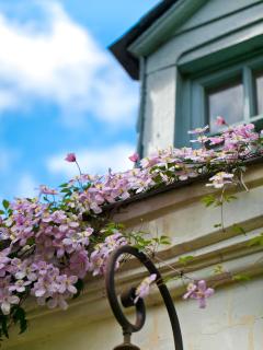 La Maison Jules - Tours - 4