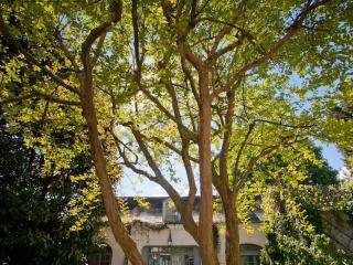 La Maison Jules - Tours - 2