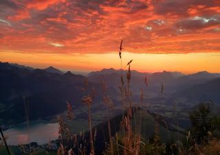 Golf- und Sporthotel Moarhof - Walchsee - 5