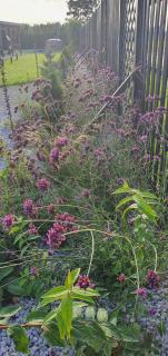 Czarne Nad Białym - 3