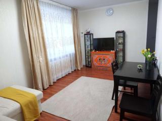 Cozy Apartment Near UB Railway Station - 9