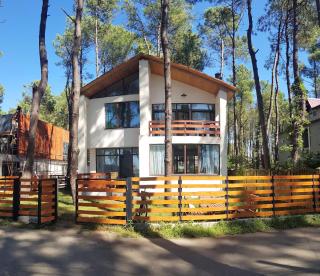 Beachfront 4-bedroom home in Kaprovani pine forest - 0