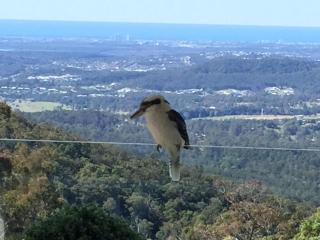 Beautiful Home with Breath-taking Views Mt Tamborine - Eagle Heights - 5