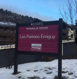 Appartement 2 pièces Résidence les Fermes Emiguy Les Gets - 7