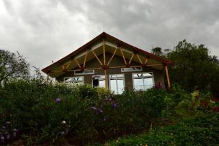 Boulevard Inn Mt Meru - Arusha - 9