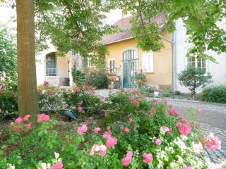 Schloss Goldacker - das Schloss der Gesundheit - Weberstedt - 4