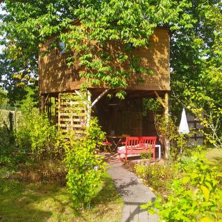 CABANE CERISE DANS L'ARBRE Etapeboisee - Fumay - 7