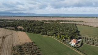 Il Boschetto tulipano - San Donato - 9