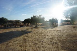 CUCHI FARM - 1