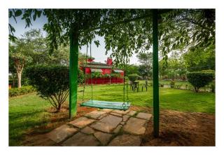 An Authentic Village Farm - Jhansi - 1