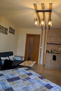 vins studio - Bansko - 4