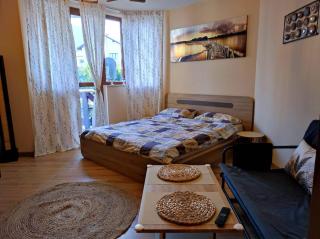 vins studio - Bansko - 2