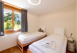 Panoramapark Soleil B Garden Apartment - Wengen - 1