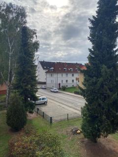 Waldblick - 1