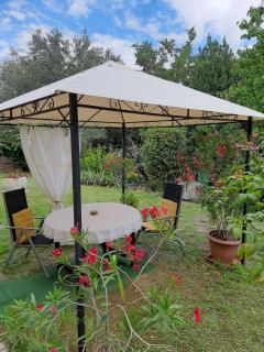 Studio with garden near the sea - 2