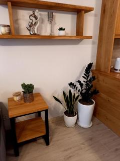 Apartament Green Park - Starogard Gdański - 2