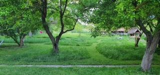 Garden Apartment Szolad - Balaton - Szólád - 1