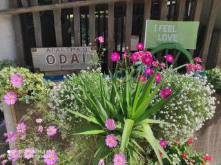 ODAI - Bovec - 3