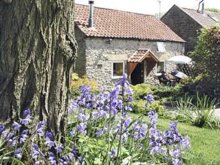 Old Barn Cottage - 9