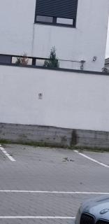 Apartament Vila Brana Sibiu Selimbar str Nicolae Brana Nr 63 Ap 4 - Şelimbăr - 8