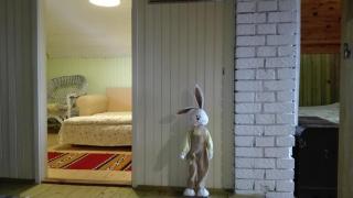 Zeleni Čardaci etno apartmani - Kaludjerske Bare - 7