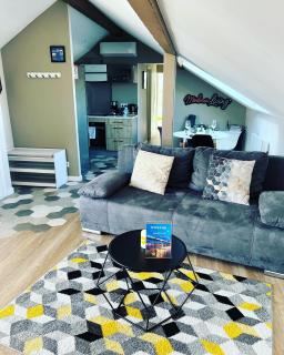 Modern Living - Huningue - 4