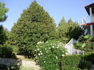 Apartment Labin 7468a - Labin - 3