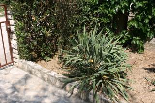 Apartments by the sea Pag - 6413 - 2