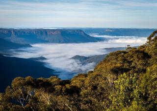 Snow Leopard Lodge - Leura - 0