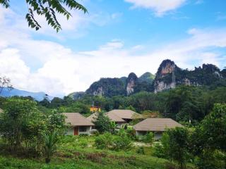 The Liveliwoods - Khao Sok National Park - 9