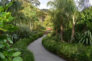 Atea Lodge - Coromandel - 2