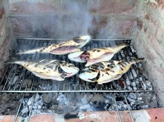 Guesthouse Trogir Proto-Free parking - 7