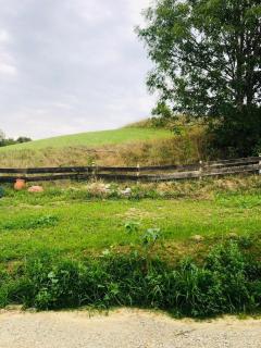 Loft im Isental - - 1