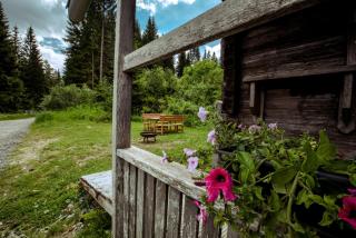 Almhütte Hebalm - 7
