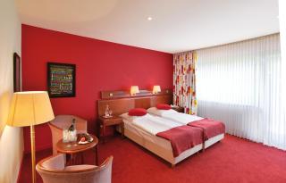 Sauerland Alpin Hotel - Schmallenberg - 9