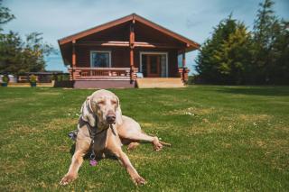Bunnahahbain - Two Bedroom Luxury Log Cabin with Private Hot Tub - 1