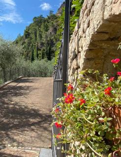 Villa Gianna Terrazza - Limone sul Garda - 6
