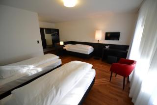HOTEL illuster - Urban & Local - Uster - 7