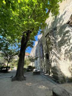 Charmant Studio, Centre historique, Carmes - Avignone - 1